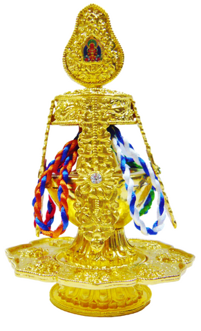 Longevity Health Vase